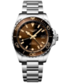 HydroConquest GMT / 41mm