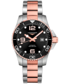 HydroСonquest / 43mm