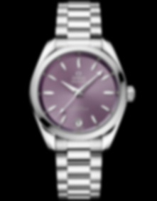 Seamaster Aqua Terra / 34mm