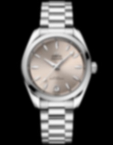 Seamaster Aqua Terra / 34mm