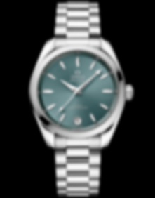 Seamaster Aqua Terra / 34mm