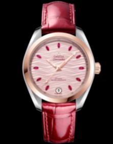 Seamaster Aqua Terra 150m Co Axial Master Chronometer / 34mm