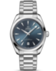 Seamaster Aqua Terra / 38mm