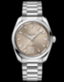 Seamaster Aqua Terra / 38mm