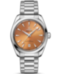 Seamaster Aqua Terra / 38mm