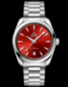 Seamaster Aqua Terra / 38mm