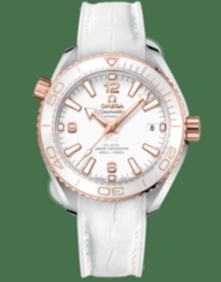 Planet Ocean 600m Co Axial Master Chronometer / 39.5mm