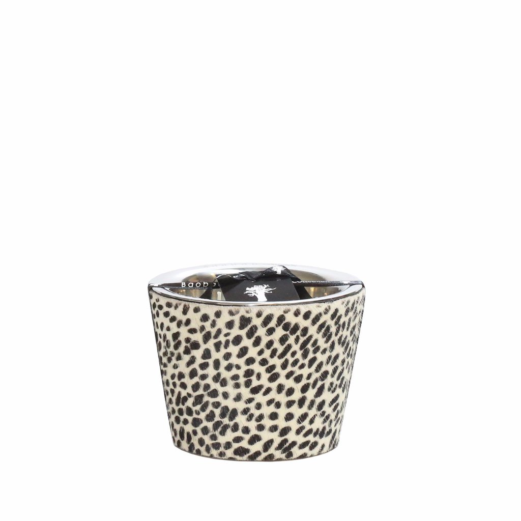 BAOBAB COLLECTION, Jungle Safari "Ghepardino" Max 10, SKU: MAX10GH | watchphilosophy.co.uk