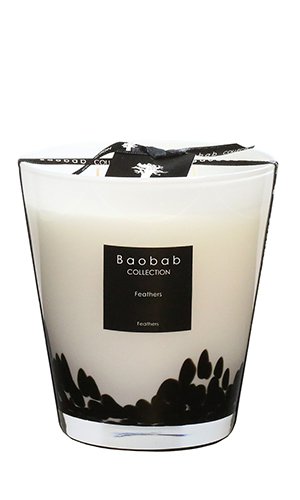 BAOBAB COLLECTION, Feathers Max 16, SKU: MAX16FE | watchphilosophy.co.uk