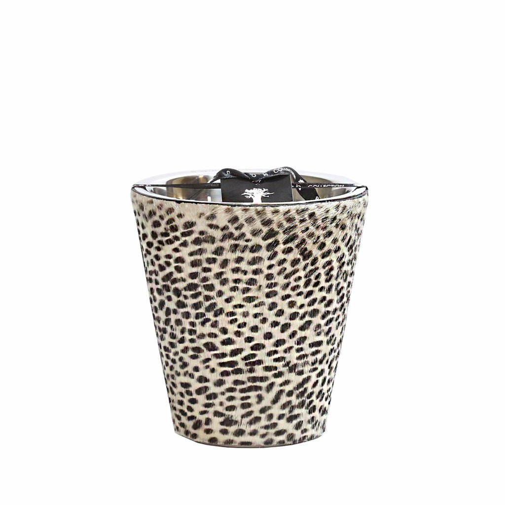 BAOBAB COLLECTION, Jungle Safari "Ghepardino" Max 16, SKU: MAX16GH | watchphilosophy.co.uk