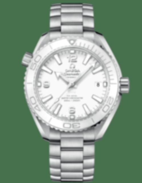 Men's watch / unisex OMEGA, Planet Ocean 600m Co Axial Master Chronometer / 39.5mm, SKU: 215.30.40.20.04.001 | watchphilosophy.co.uk